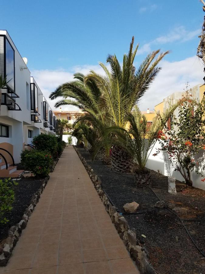Amaya Ocean View Apartment Costa De Antigua Zewnętrze zdjęcie