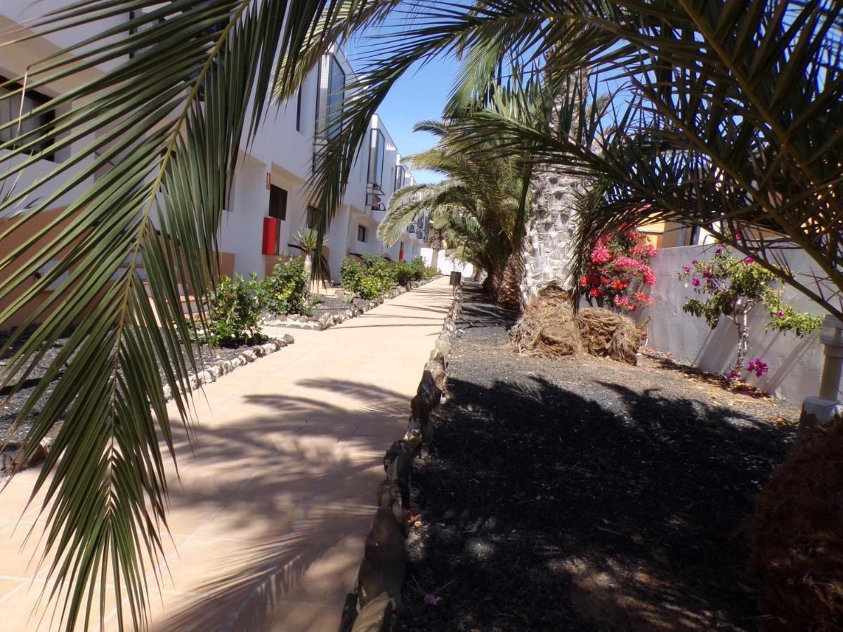 Amaya Ocean View Apartment Costa De Antigua Zewnętrze zdjęcie